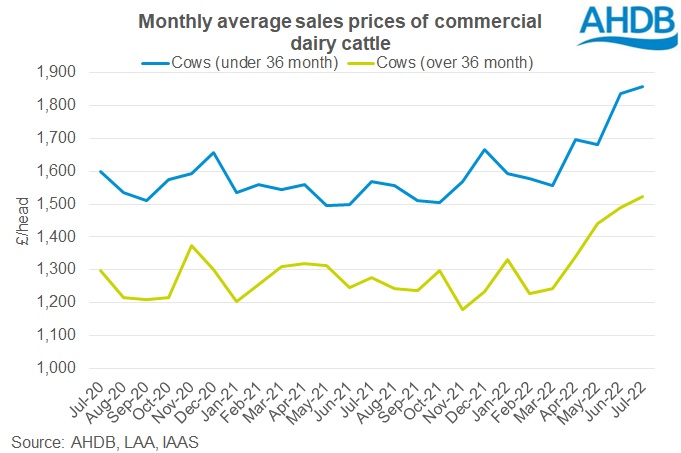 graph1cattleandheifer
